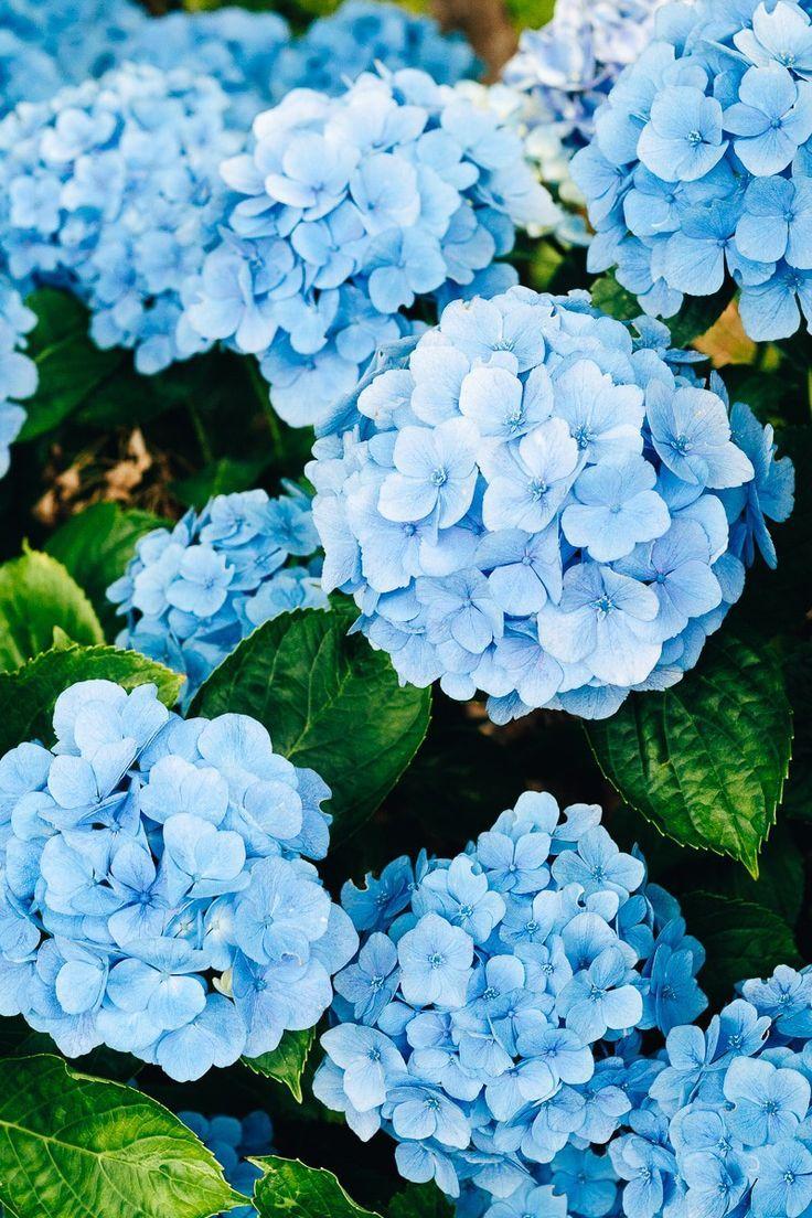 Eternal Spring Embrace Floral Array