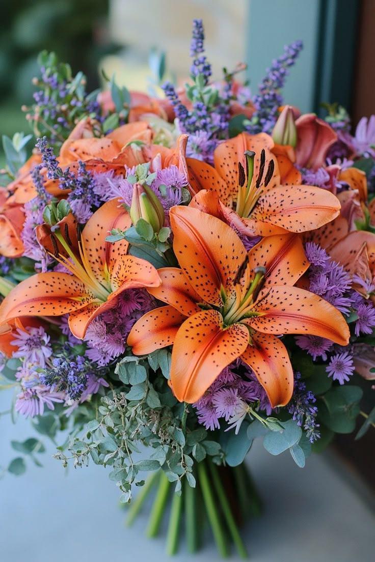 Morning Dew Radiance Petal Collection